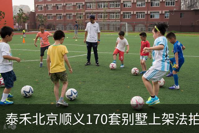 泰禾北京顺义170套别墅上架法拍 起拍价10.90亿元